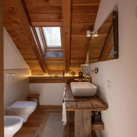 别墅 Ciasa Tri Wellness Chalet